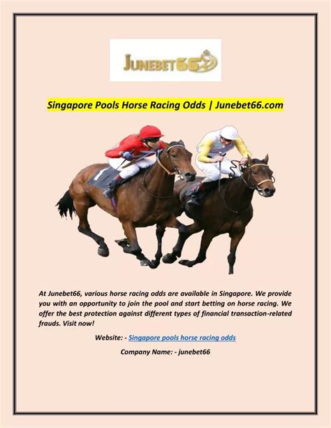 singapore pools horse racing odds